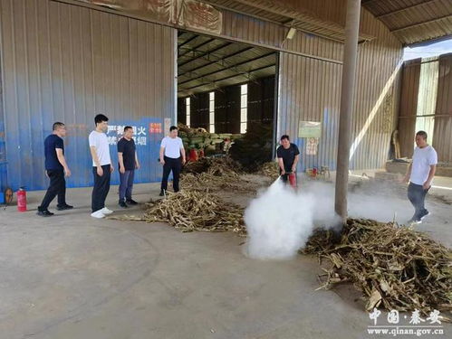 秦安獸藥飼料經(jīng)營及牧草加工企業(yè)安全生產(chǎn)督查紀(jì)實